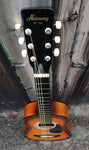 Harmony H-303 Classical Acoustic
