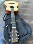 Little Martin LX1