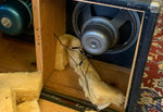 1965 Fender Bassman with Cab