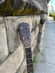 1930's Sovereign Tenor Guitar