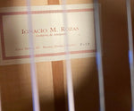 Ignacio M Rozas