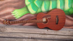 Ibanez PCBE12MHOPN Okoume 4-String Acoustic Bass