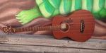Ibanez PCBE12MHOPN Okoume 4-String Acoustic Bass