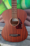 Ibanez PCBE12MHOPN Okoume 4-String Acoustic Bass
