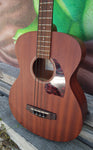 Ibanez PCBE12MHOPN Okoume 4-String Acoustic Bass