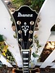 Ibanez AS93 FM