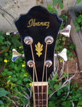 Ibanez AEB5E-BK