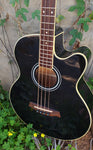 Ibanez AEB5E-BK