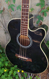 Ibanez AEB5E-BK