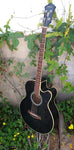 Ibanez AEB5E-BK