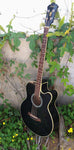 Ibanez AEB5E-BK