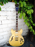 Ibanez Artcore AS103