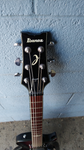 Ibanez LP Style