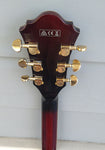 Ibanez Artcore AG95-DBS
