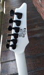 2008 Ibanez Iceman