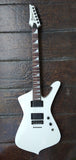 2008 Ibanez Iceman