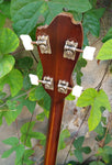 Kay Kraft Copy Tenor Banjo