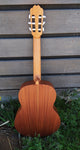 Kremona Classical Soloist S62C