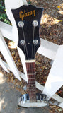 60’s Gibson Longneck Banjo