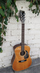 70's Mountain Acoustic M38