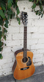 70's Mountain Acoustic M38