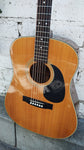 70's Mountain Acoustic M38