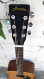 70's Mountain Acoustic M38