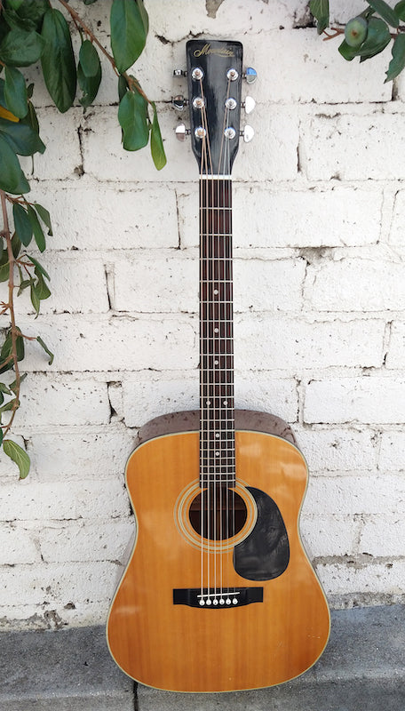 Mountain acoustic guitar store
