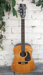 70's Mountain Acoustic M38