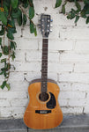 70's Mountain Acoustic M38