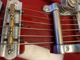Danelectro 59DC with Bigsby