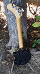 Fernandez Nomad Bass