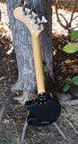 Fernandez Nomad Bass
