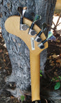 Fernandez Nomad Bass