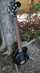 Fernandez Nomad Bass