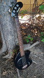 Fernandez Nomad Bass