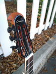 Ovation Celebrity CE 44C