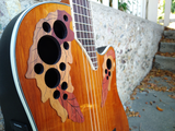 Ovation Celebrity CE 44C