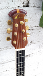 Ovation Legend 1651