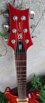 PRS Custom 22 SE
