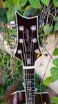 PRS SE Angelus Custom 2013