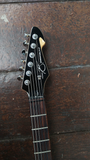 Peavy 78 Gen Exp