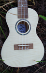 Penguin Classic Flamed Maple, Concert