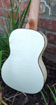 Penguin Classic Flamed Maple, Concert