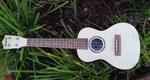 Penguin Classic Flamed Maple, Concert