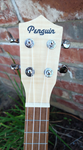 Penguin Classic Flamed Maple, Concert