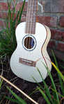 Penguin Classic Flamed Maple, Concert