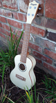 Penguin Classic Flamed Maple, Concert