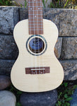 Penguin Classic Flamed Maple, Concert