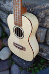 Penguin Classic Flamed Maple, Concert
